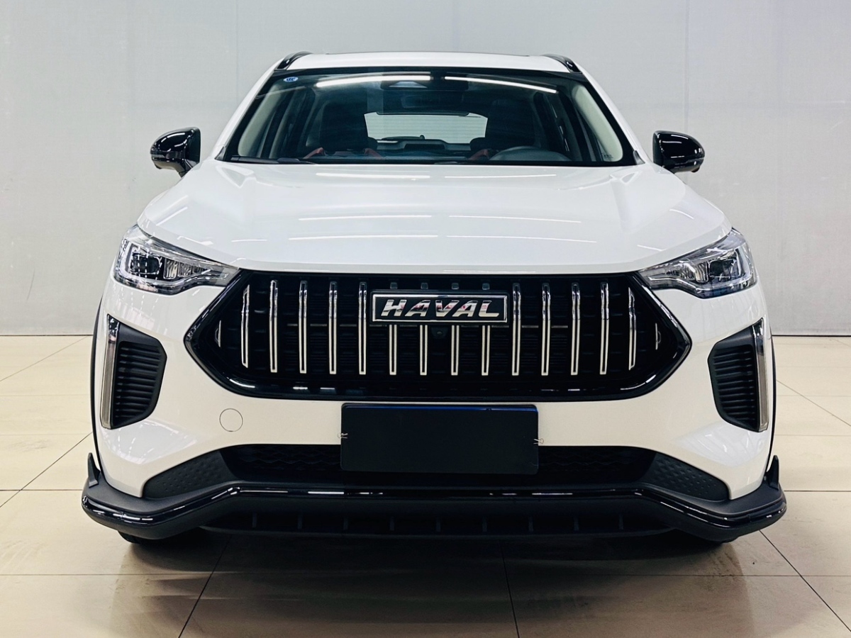 Haval Rabbit 2024 صورة سيارة #3