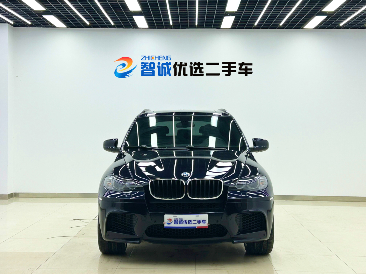 BMW X5 M 2010 car image #3