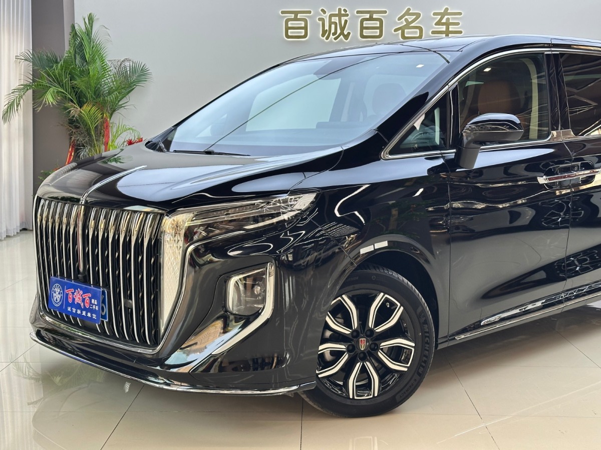 HongQi HQ9 2023 car image #3