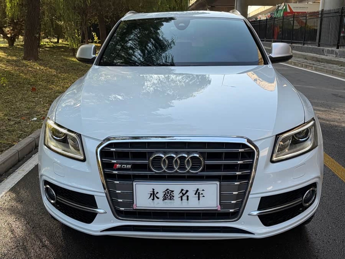 Audi SQ5 2014 imagem de carro #3