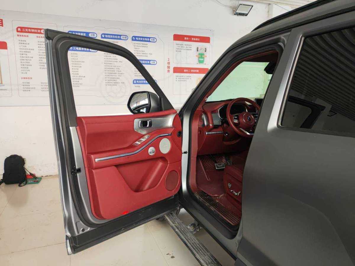 Tank 700 New Energy 2024 immagine di auto #3