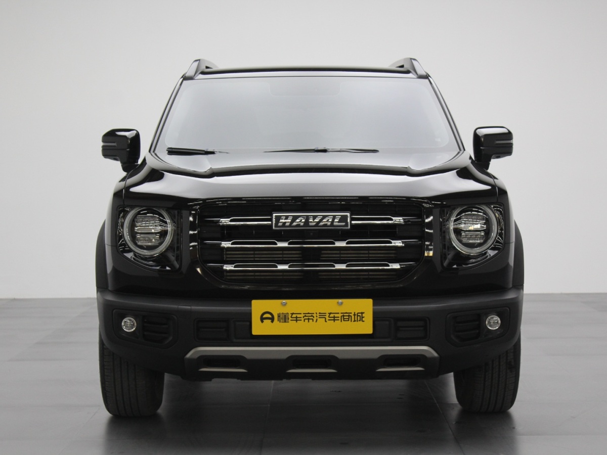 Haval X Dog / Dargo 2021 car image #3