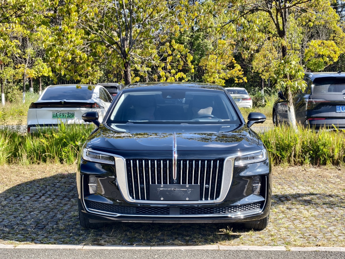 HongQi H9 2022 #3 HongQi H9 2022 immagine di auto #3