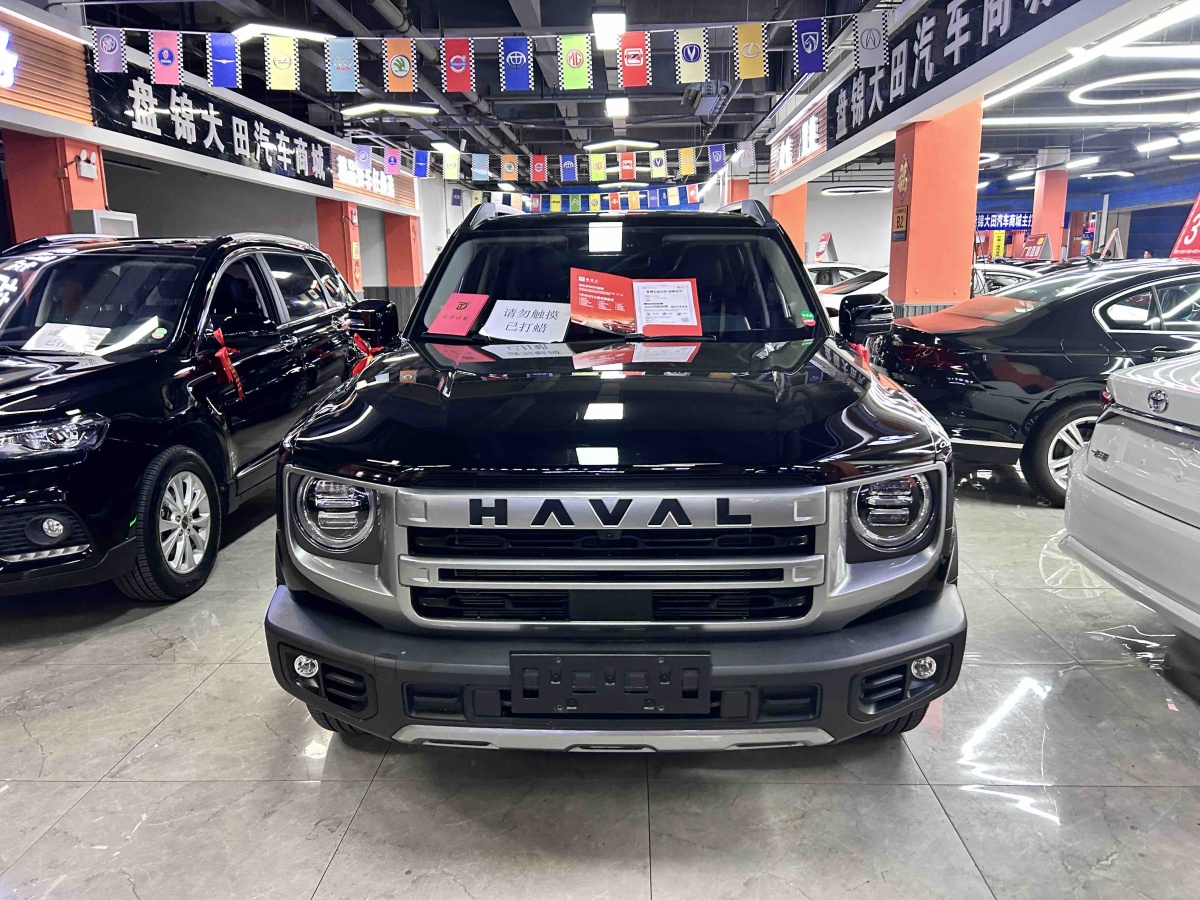 Haval X Dog / Dargo 2024 car image #3