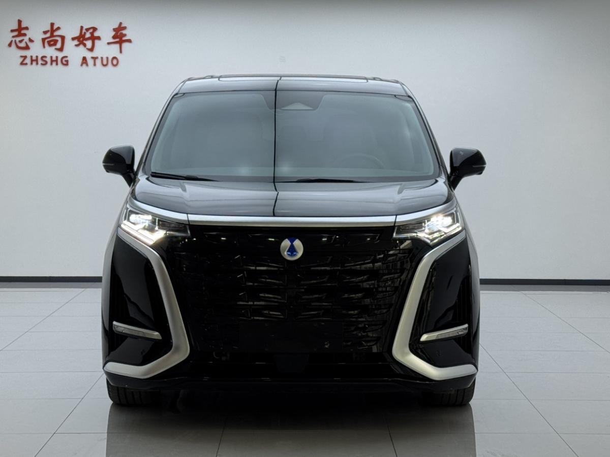 Denza N8L 2023 imagem de carro #3