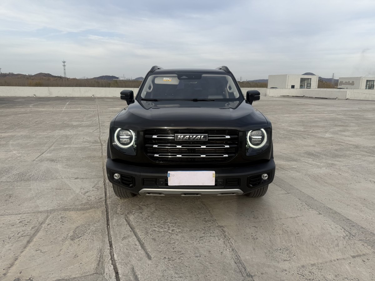 Haval X Dog / Dargo 2021 car image #3