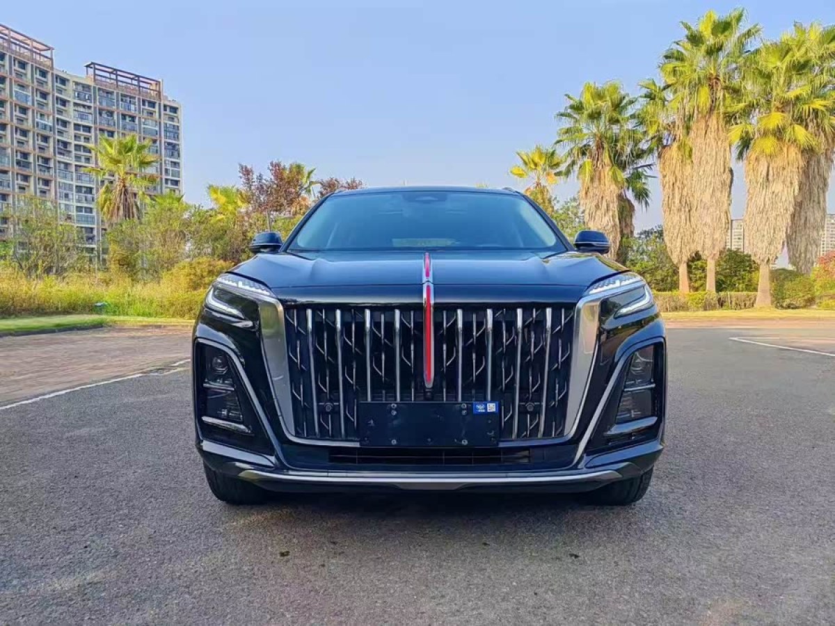 HongQi HS3 2024 immagine di auto #3