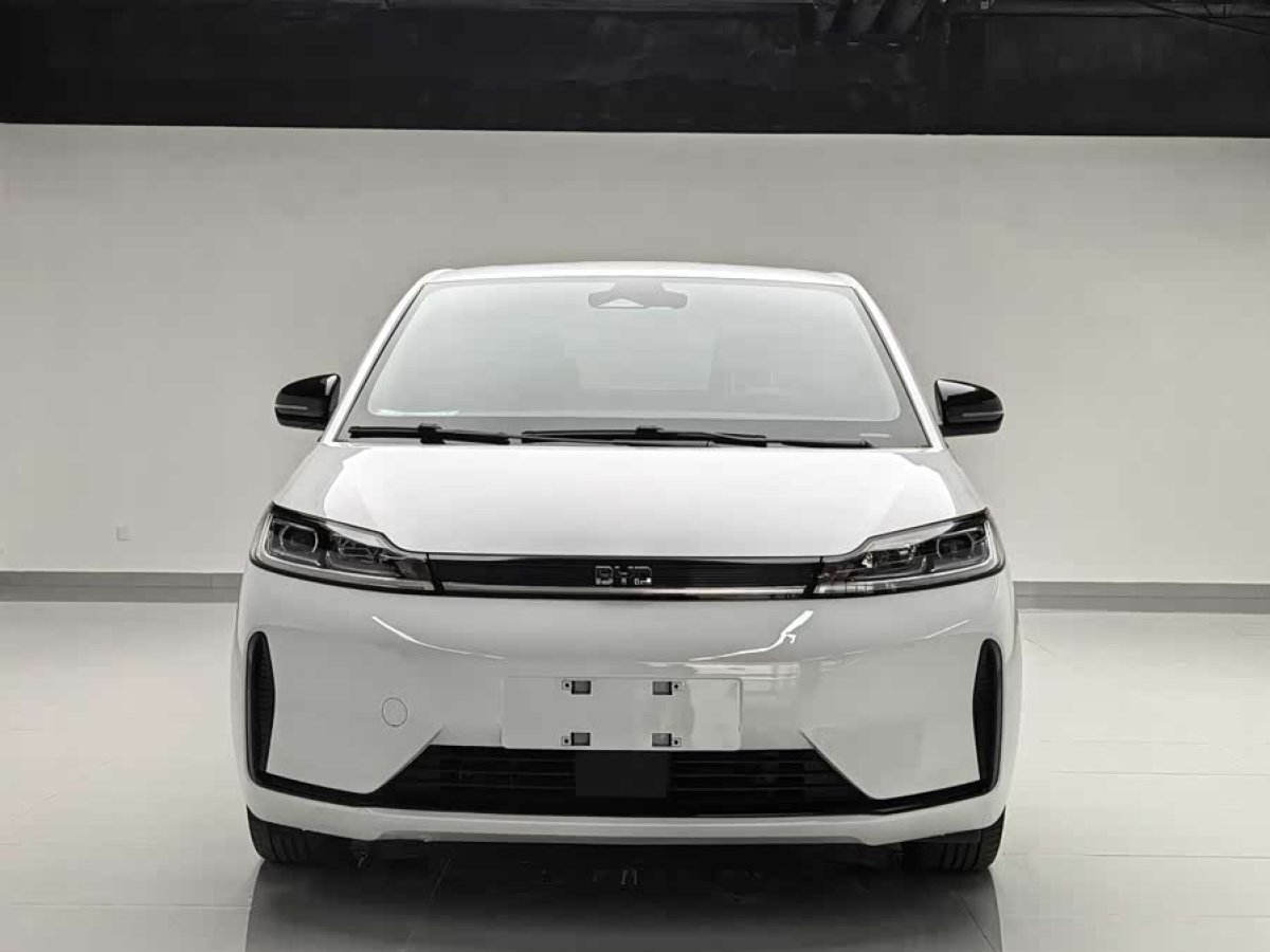 BYD D1 2023 car image #3