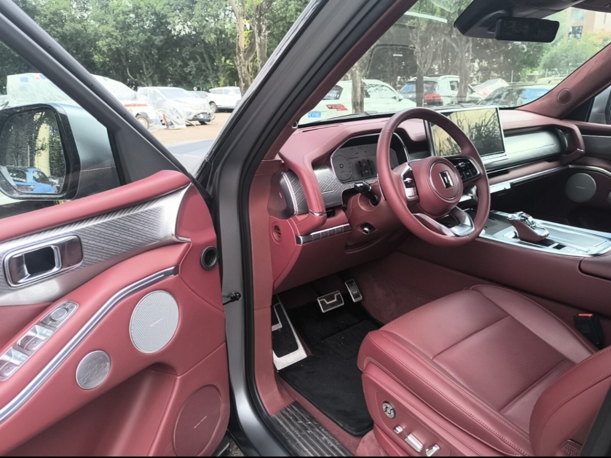 Tank 700 New Energy 2024 #3 Tank 700 New Energy 2024 immagine di auto #3