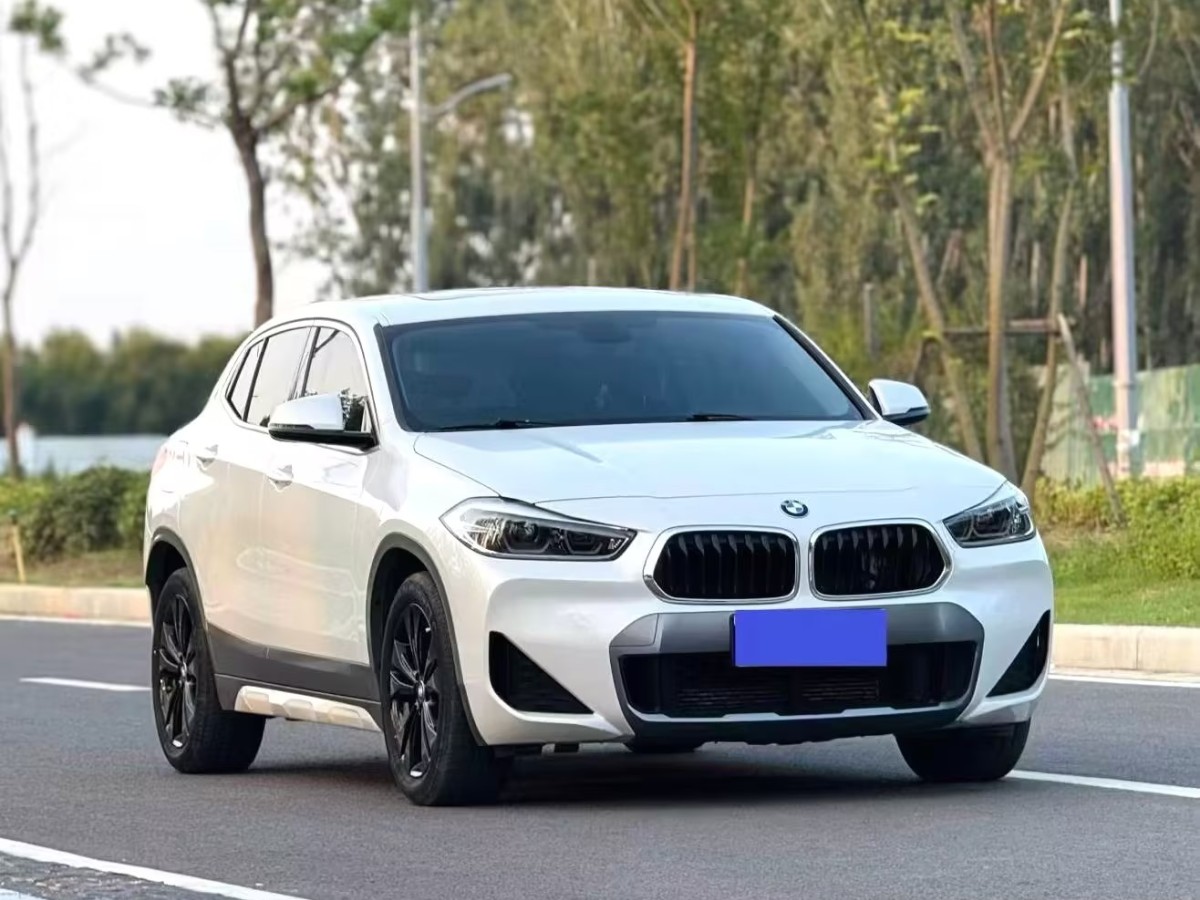 BMW X2 2019 immagine di auto #3