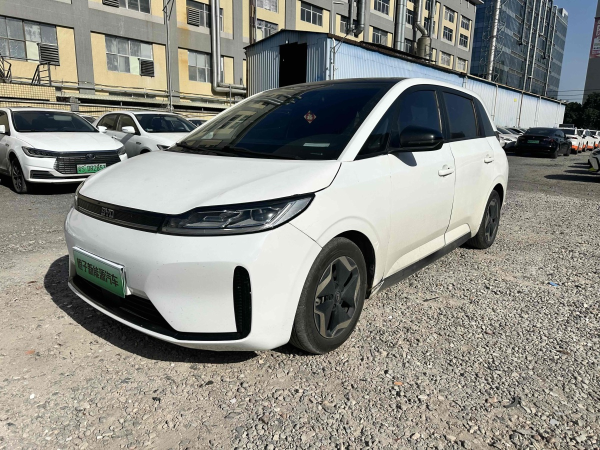 BYD D1 2021 #3 BYD D1 2021 car image #3