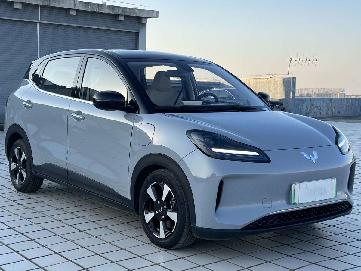 五菱汽车 五菱缤果PLUS 2024 汽车图片 #3