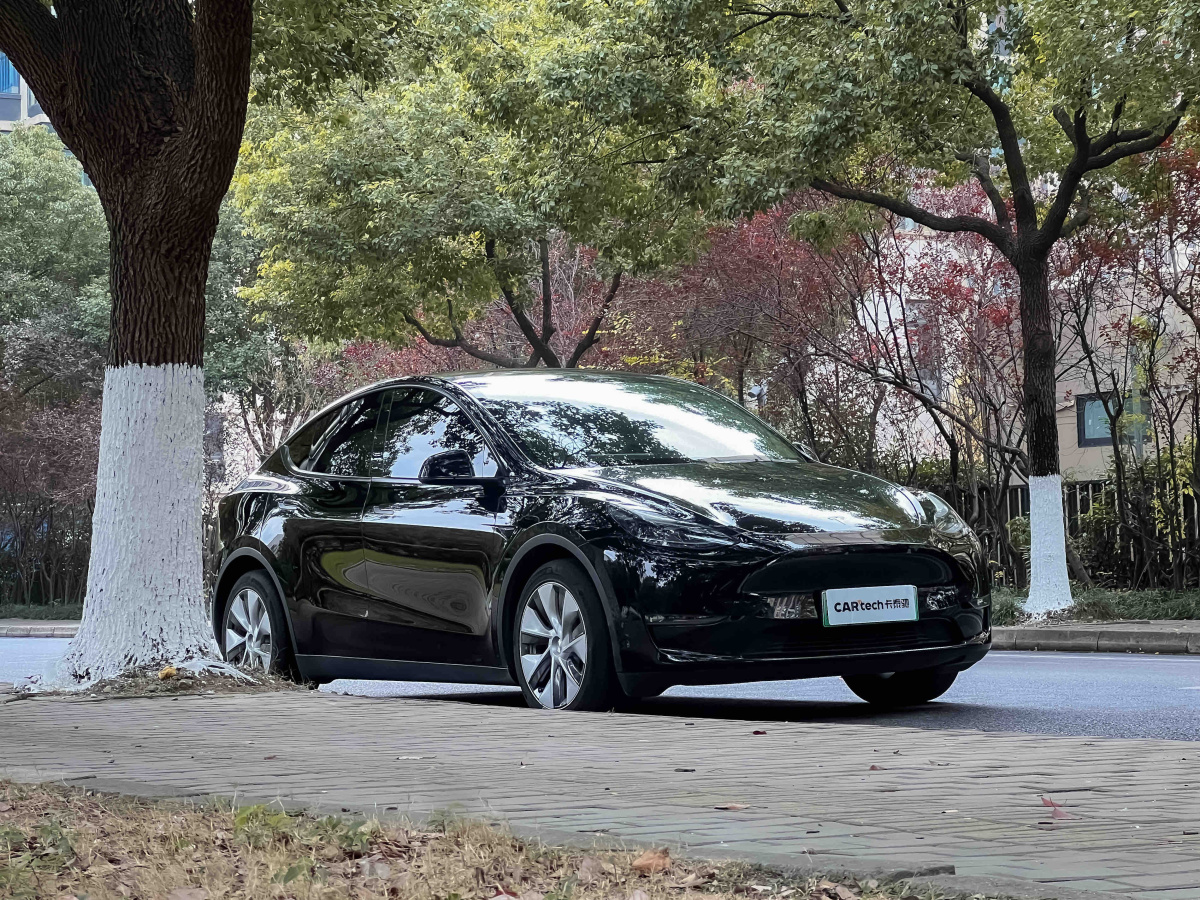 Tesla Model Y 2022 #3 Tesla Model Y 2022 car image #3