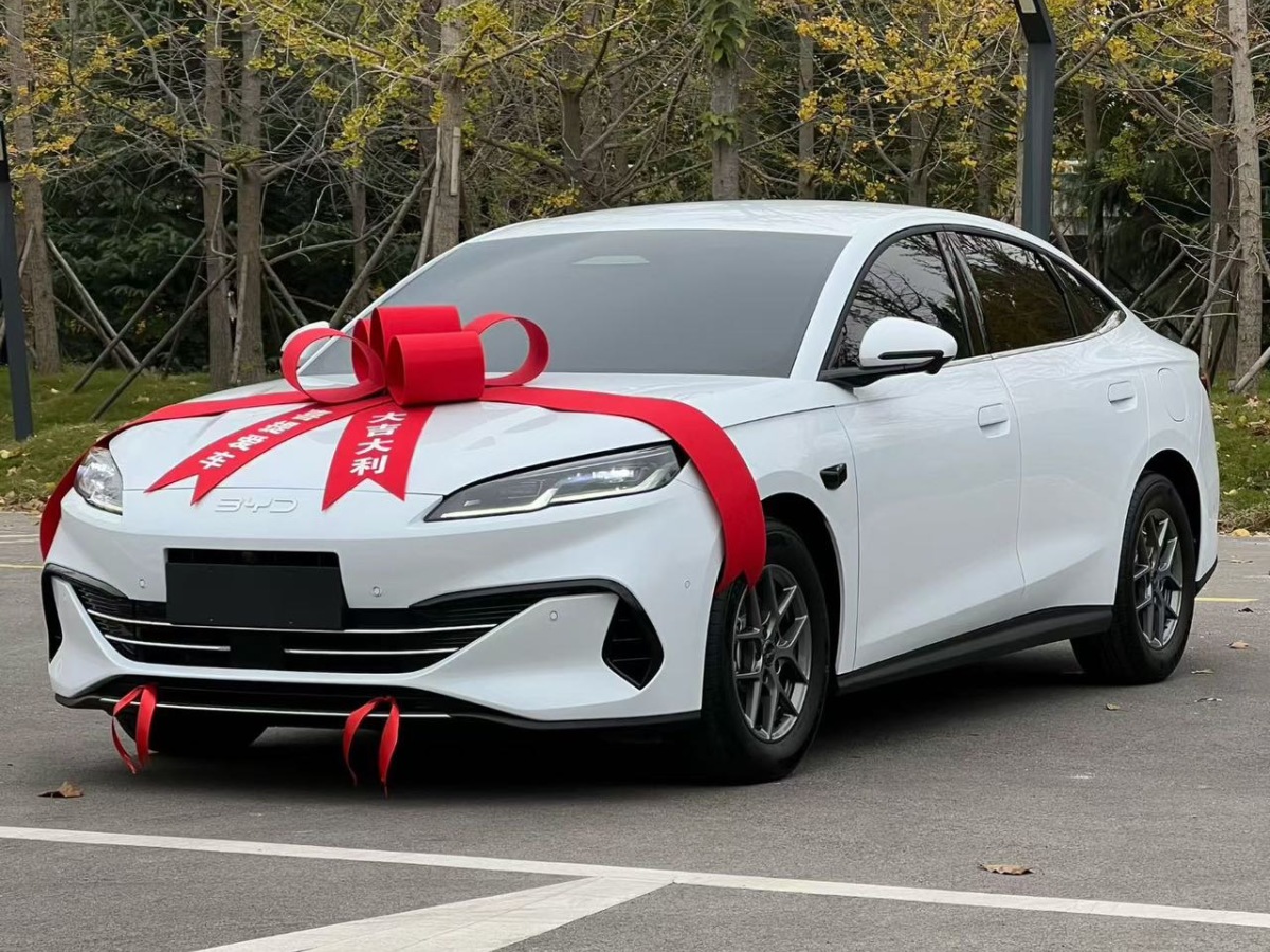 BYD Seal 06 New Energy 2025 car image #3