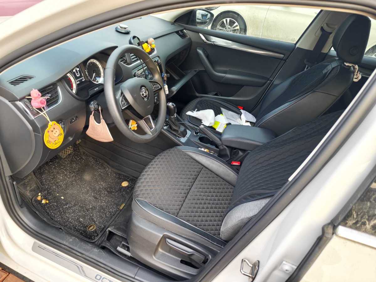 Skoda Octavia 2019 #3 Skoda Octavia 2019 car image #3