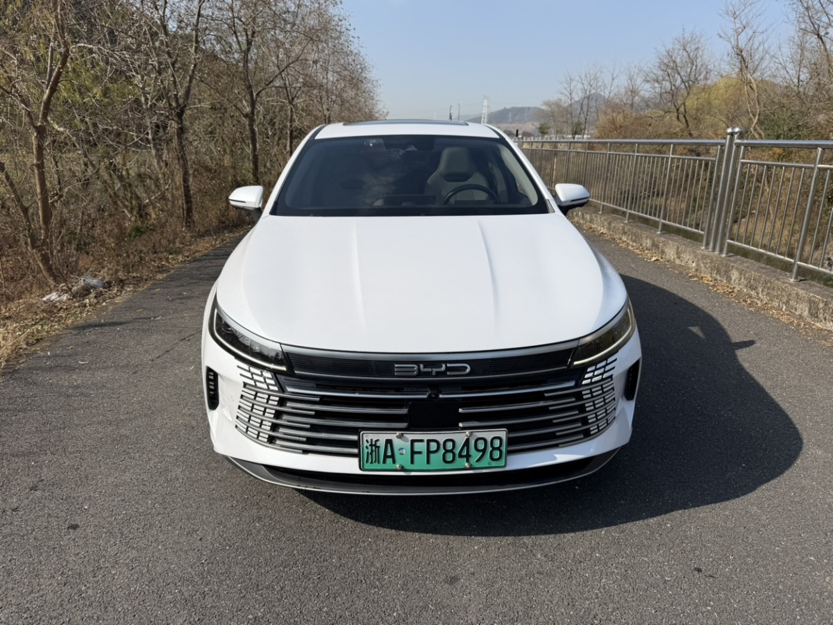 比亚迪 驱逐舰05 2022 汽车图片 #3