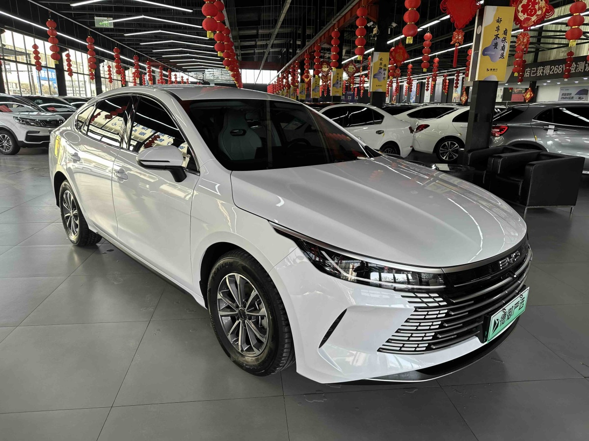 BYD Destroyer 05 2024 immagine di auto #3