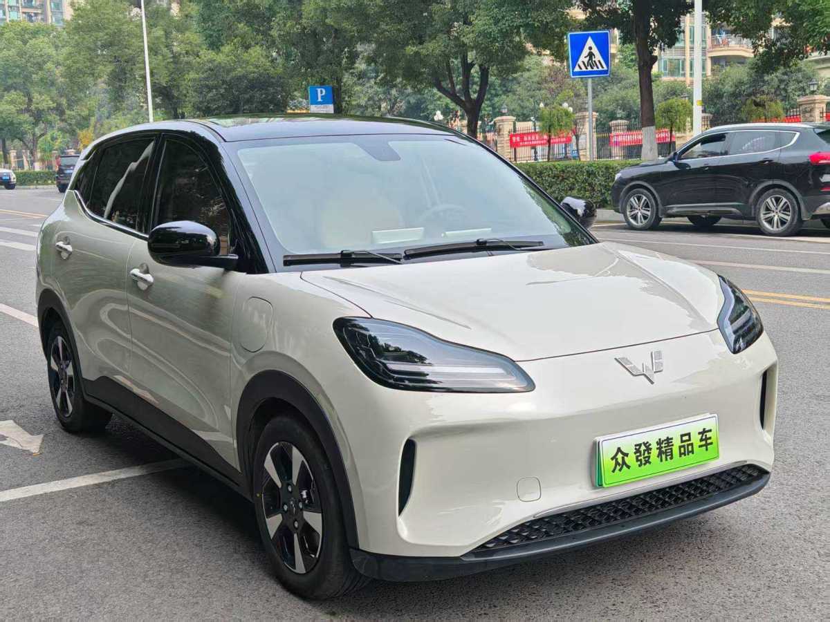 五菱汽车 五菱缤果PLUS 2024 汽车图片 #3