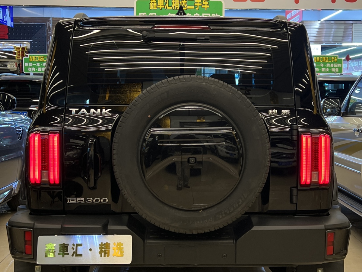 Tank 300 2022 car image #3