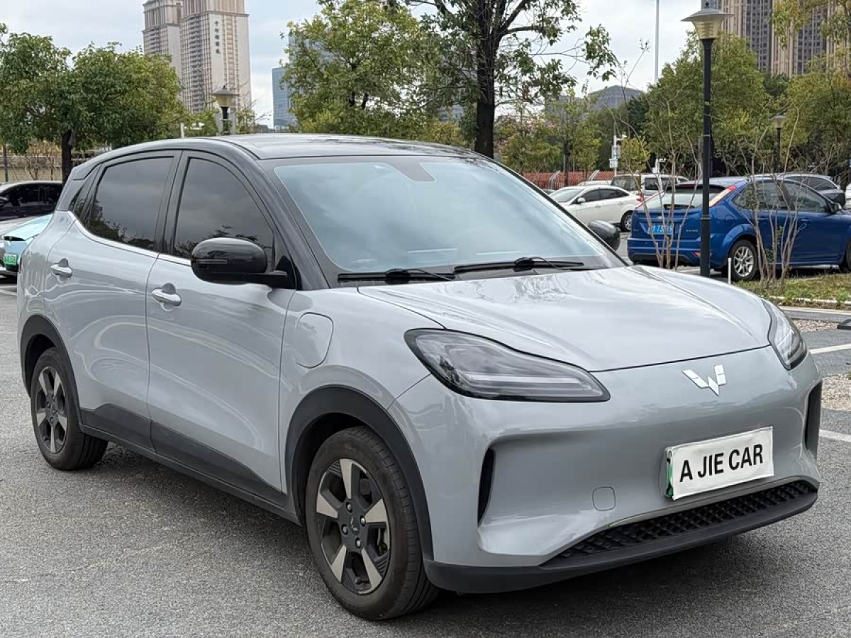 五菱汽车 五菱缤果PLUS 2024 汽车图片 #3