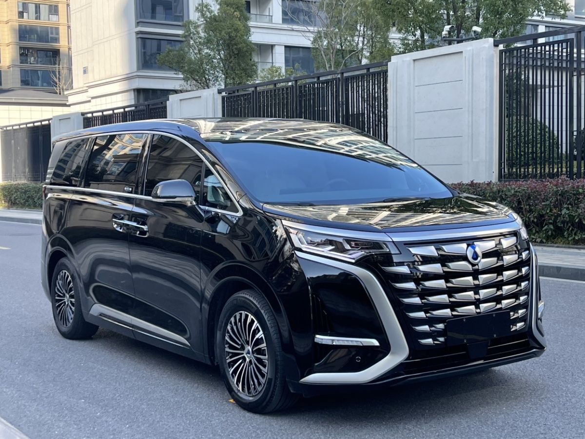 Denza D9 2023 #3 Denza D9 2023 car image #3