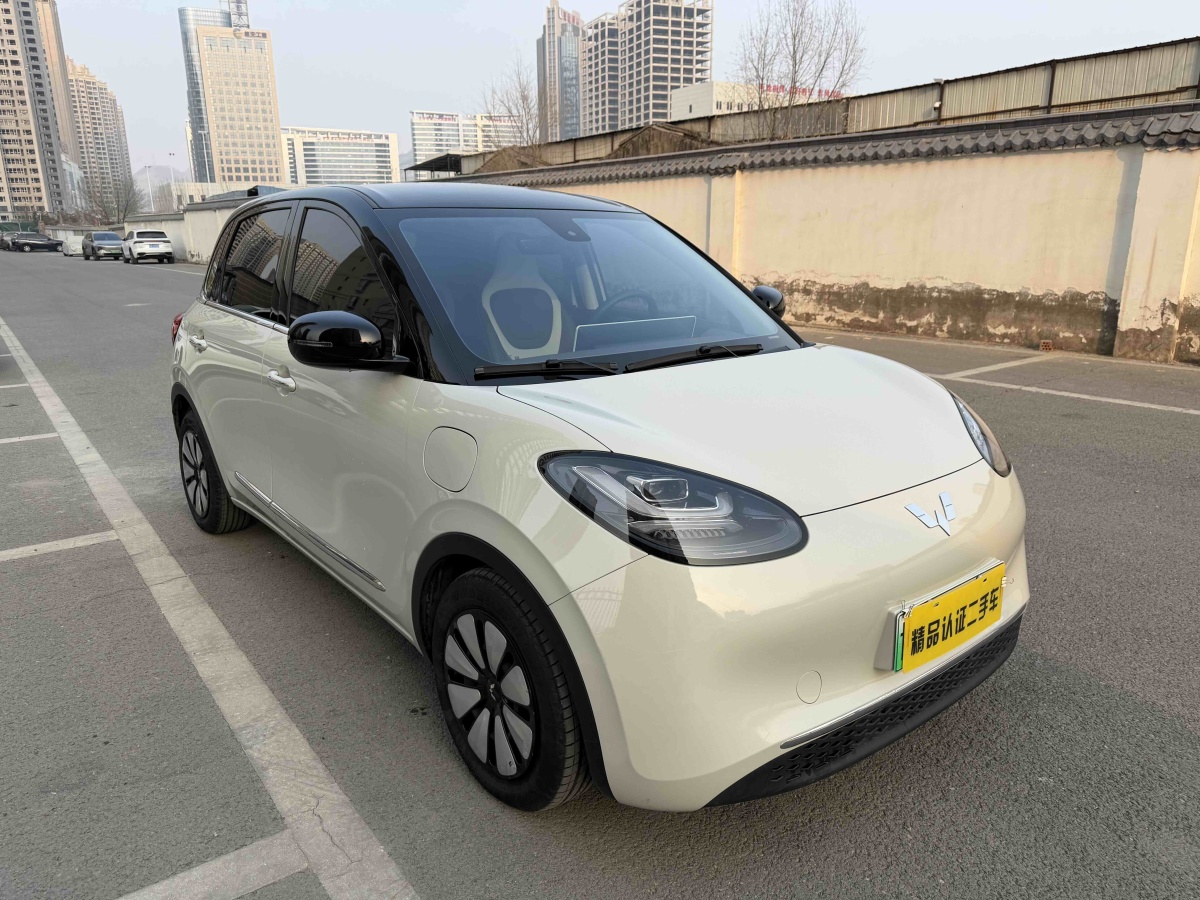 五菱汽车 五菱缤果 2023 汽车图片 #3