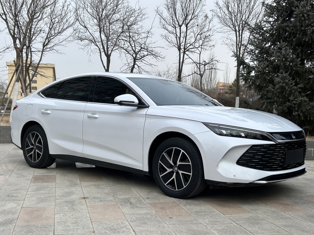 BYD Qin L 2024 car image #3