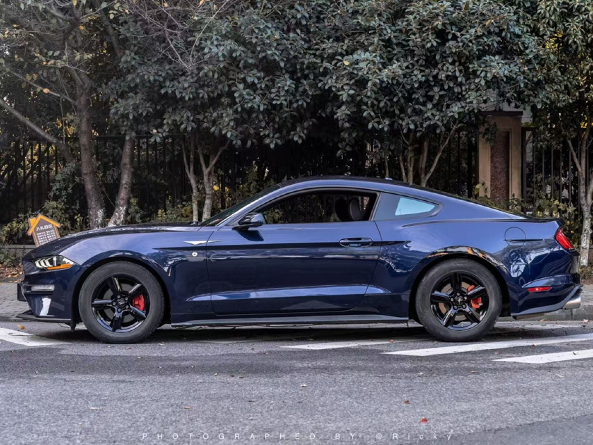 Ford 2019 #3 Ford 2019 car image #3