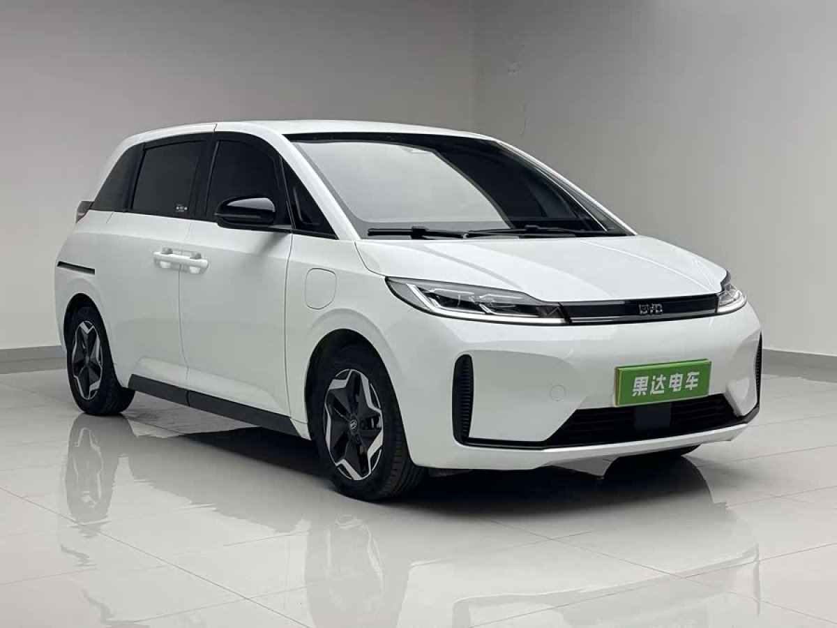 BYD D1 2023 car image #3