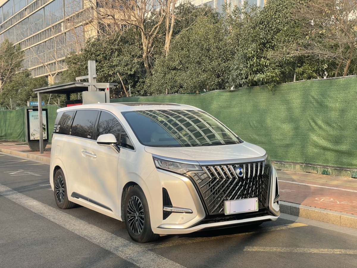 腾势 腾势D9 2023 汽车图片 #3