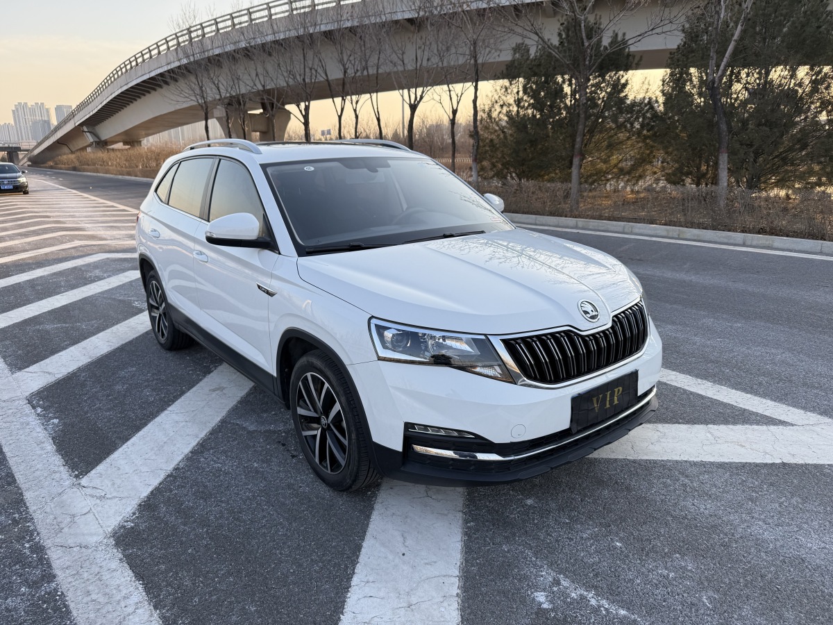 Skoda Kamiq 2020 car image #3