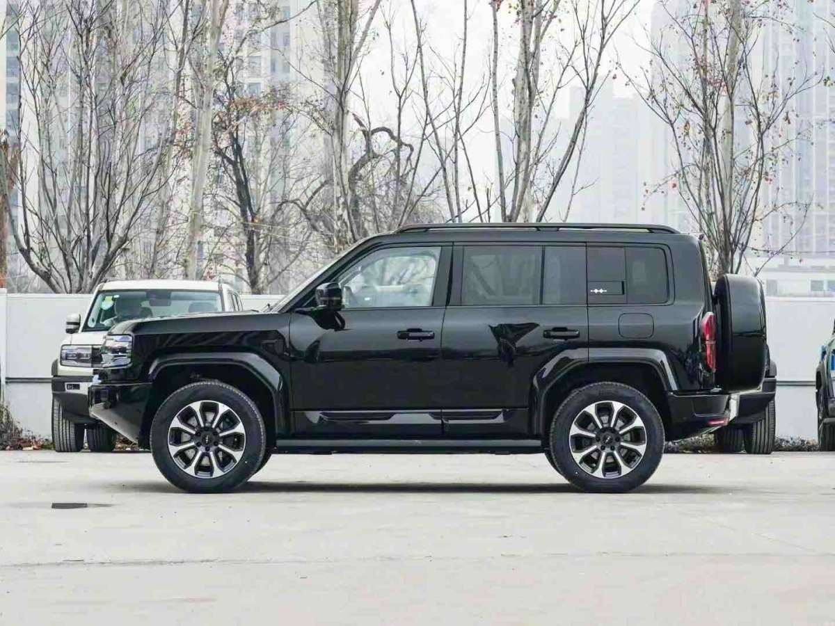 FangChengBao Leopard 5 2025 car image #3