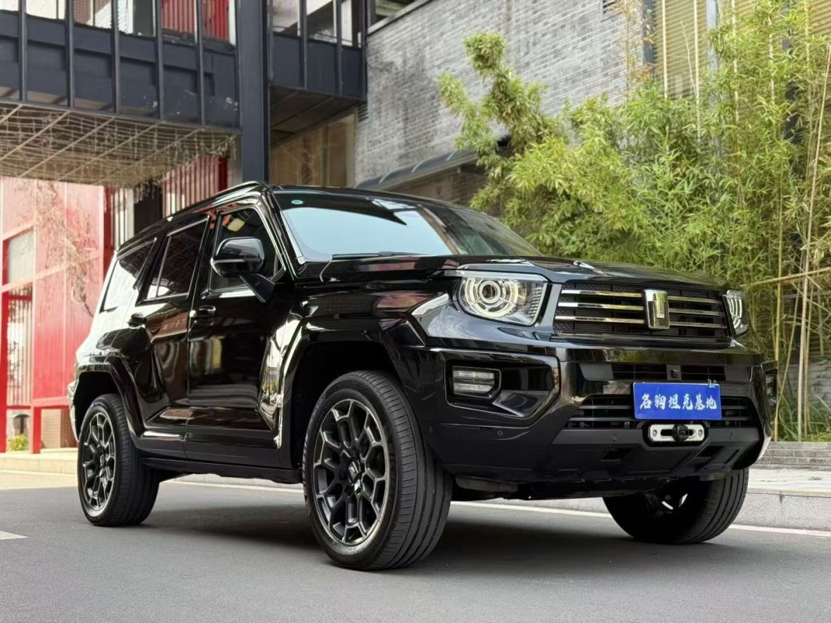 Tank 700 New Energy 2024 immagine di auto #3