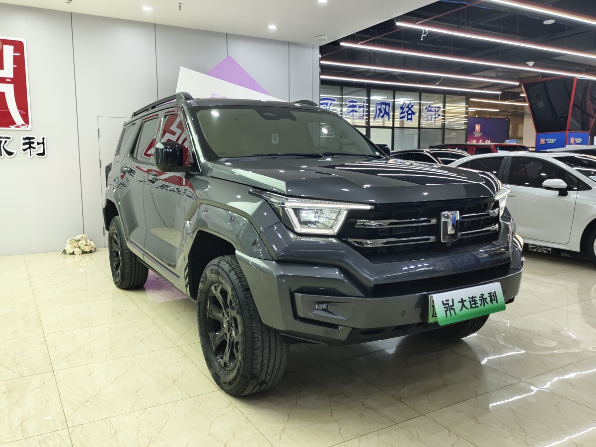 Tank 400 New Energy 2024 car image #3