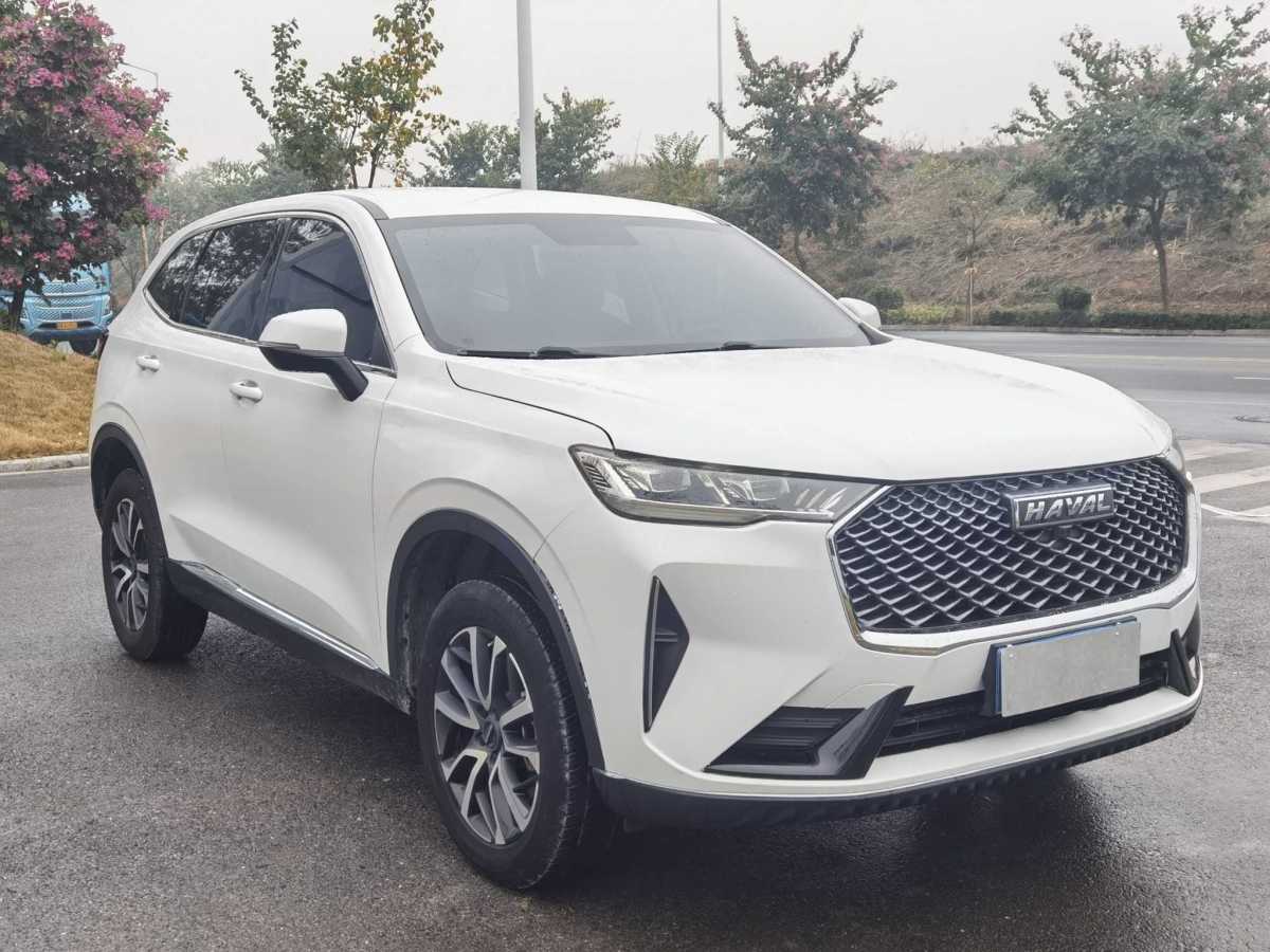 Haval H6 2021 #3 Haval H6 2021 car image #3