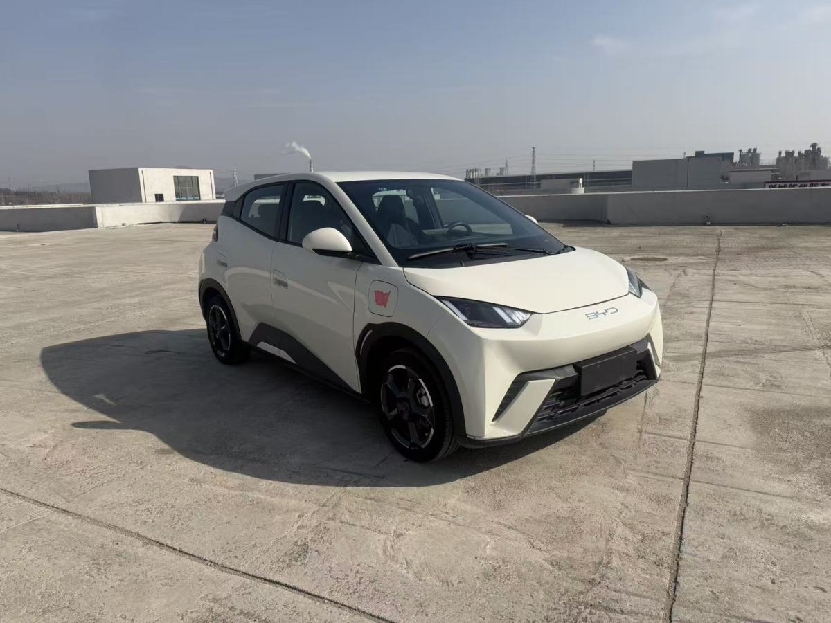 BYD Seagull 2024 imagen de coche #3