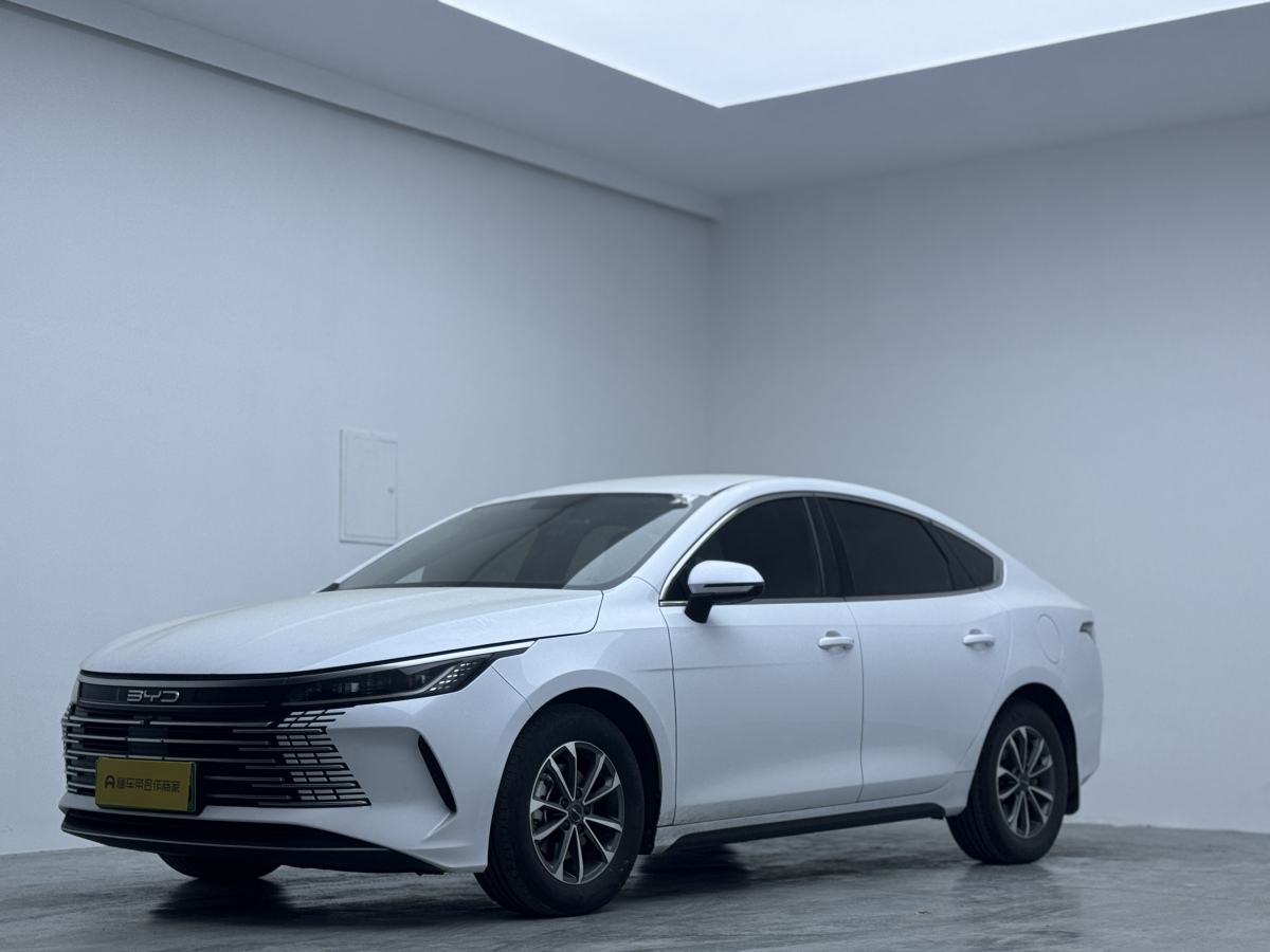 BYD Destroyer 05 2024 imagem de carro #3