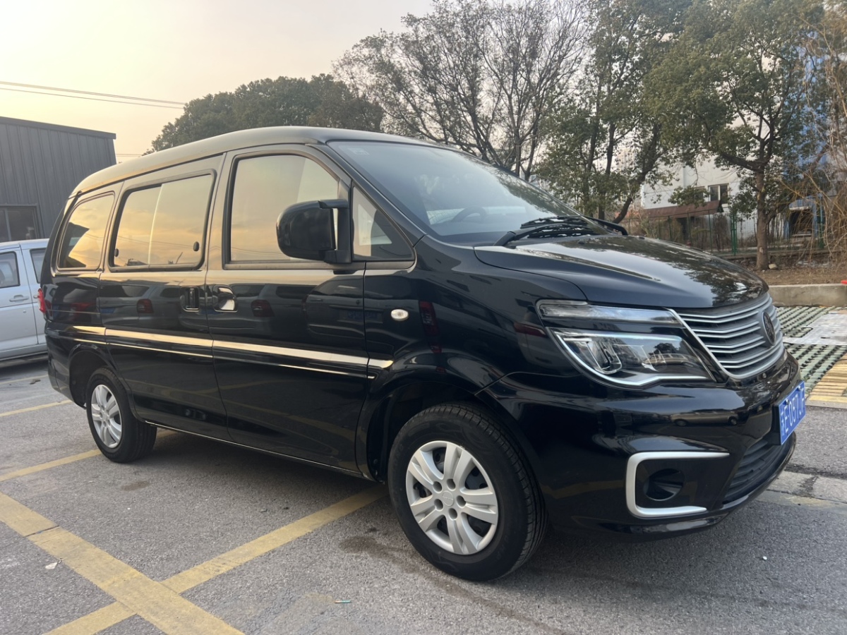 Forthing Lingzhi 2021 immagine di auto #3