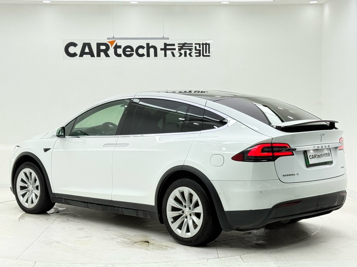 Tesla Model X 2020 immagine di auto #3