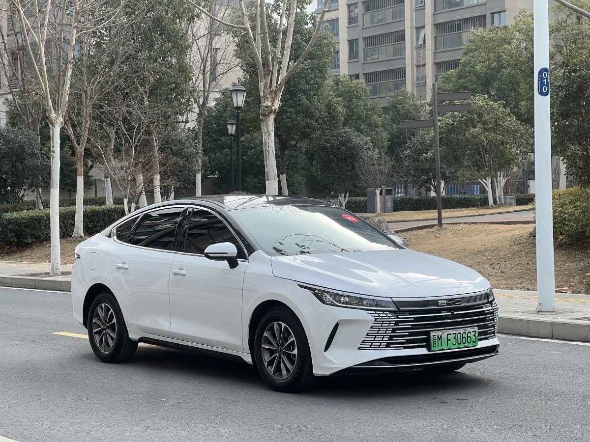 BYD Destroyer 05 2024 car image #3