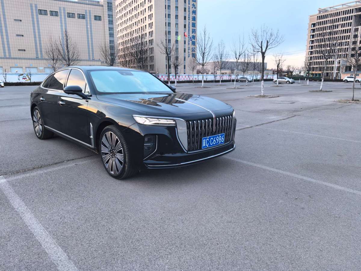 HongQi H9 2025 #3 HongQi H9 2025 immagine di auto #3