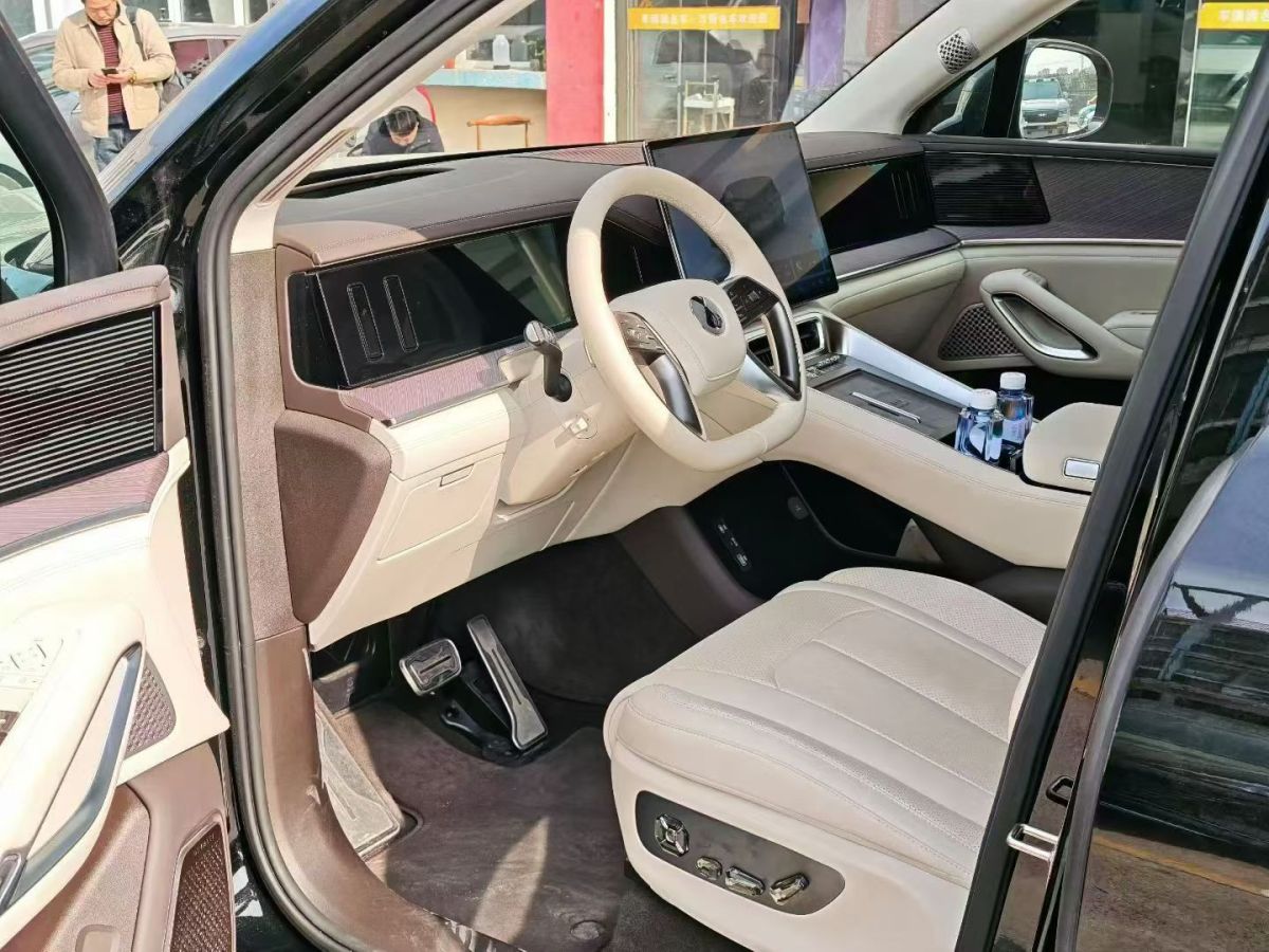 Denza N9 2025 car image #3