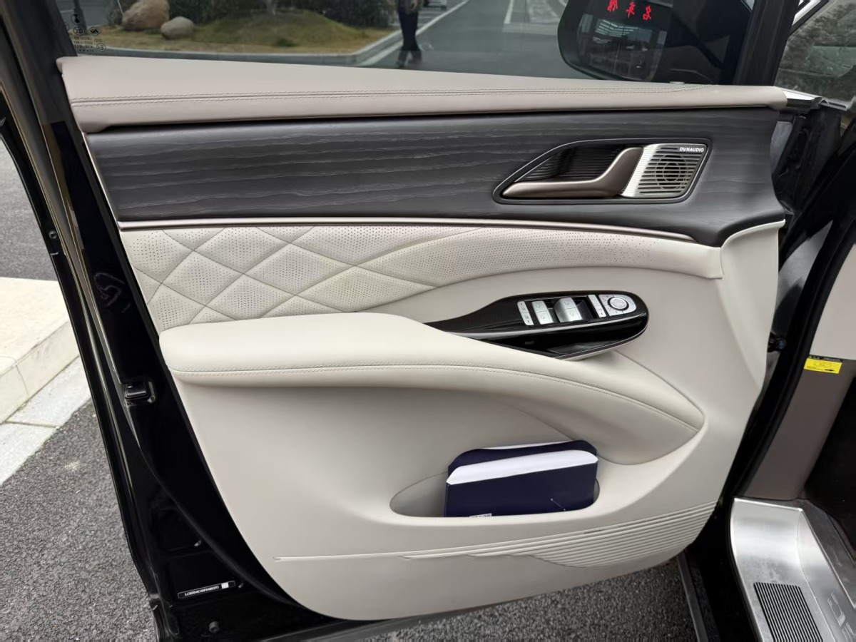 Denza D9 2023 immagine di auto #3