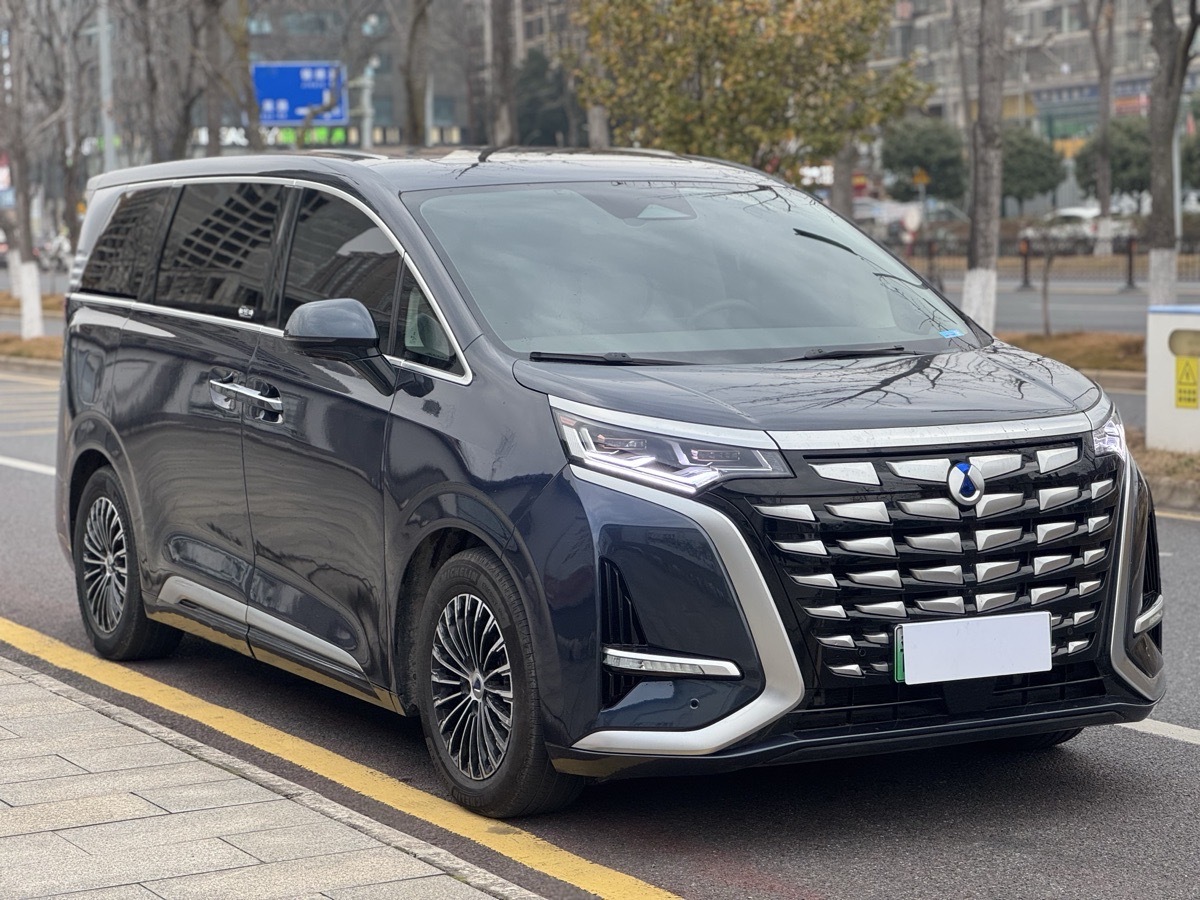 Denza D9 2023 car image #3