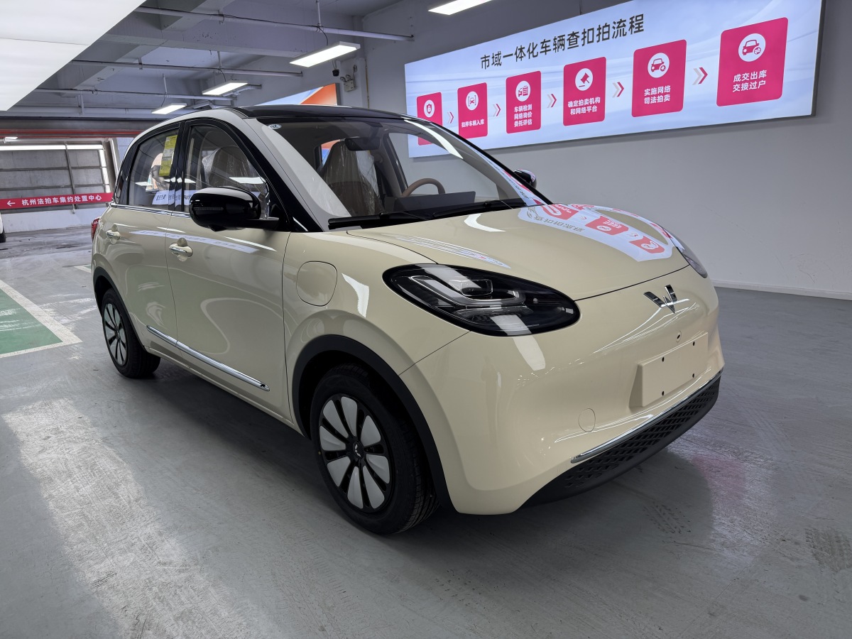 五菱汽车 五菱缤果 2026 汽车图片 #3