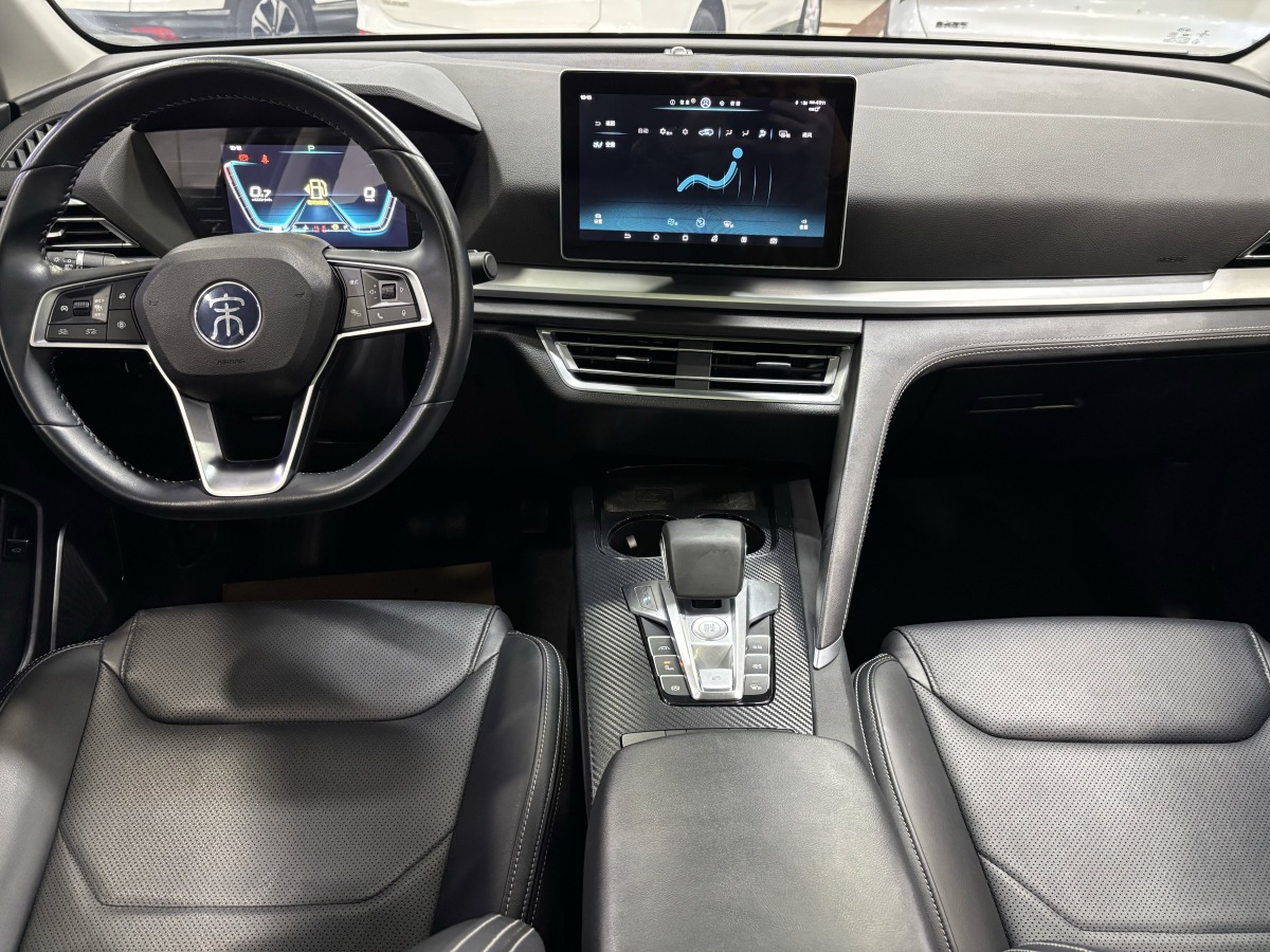 BYD Song Pro 2020 immagine di auto #3