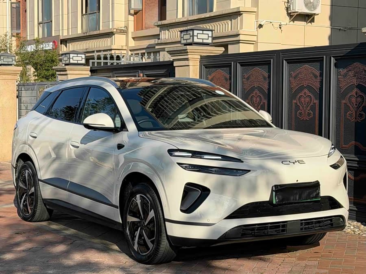 BYD Sea Lion 06 New Energy 2025 car image #3