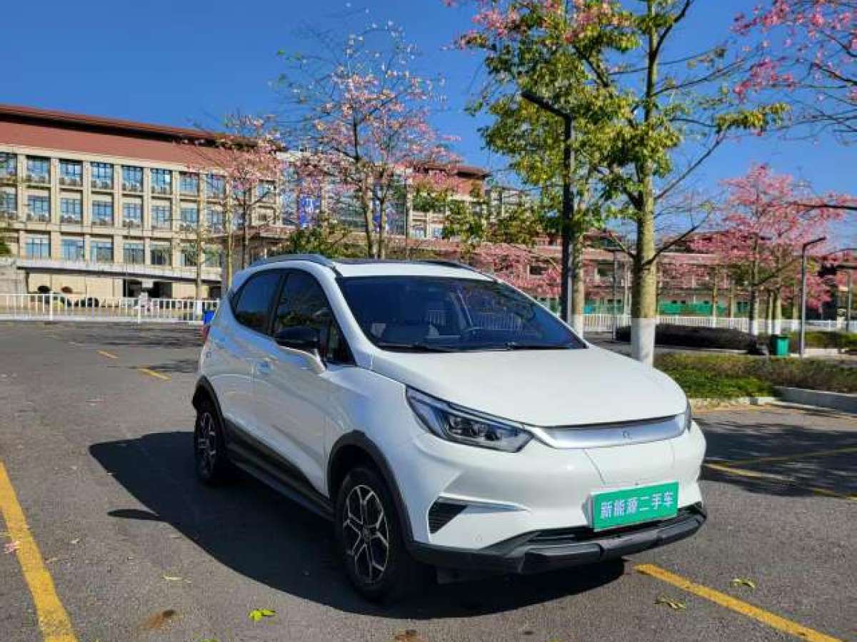 BYD Yuan Pro 2021 car image #3