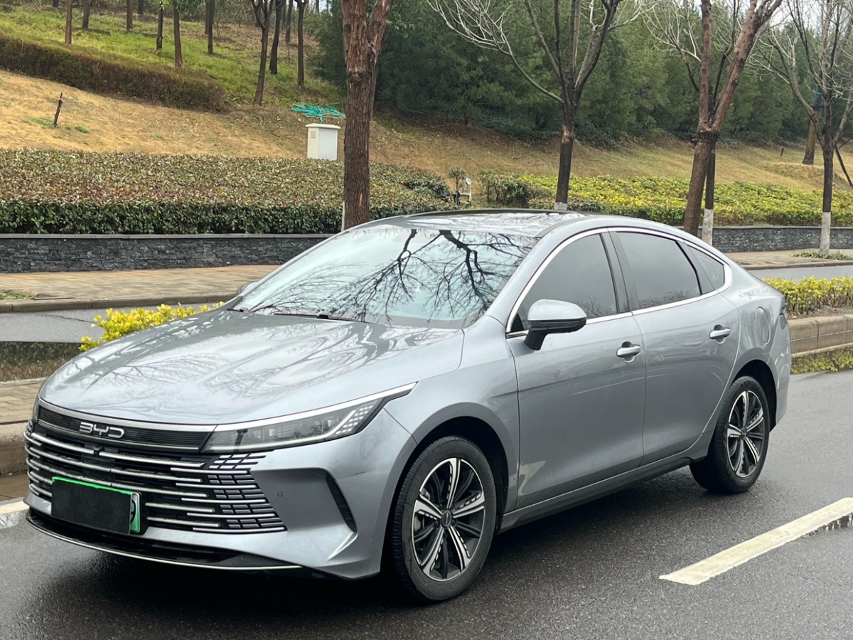 BYD Destroyer 05 2022 imagem de carro #3