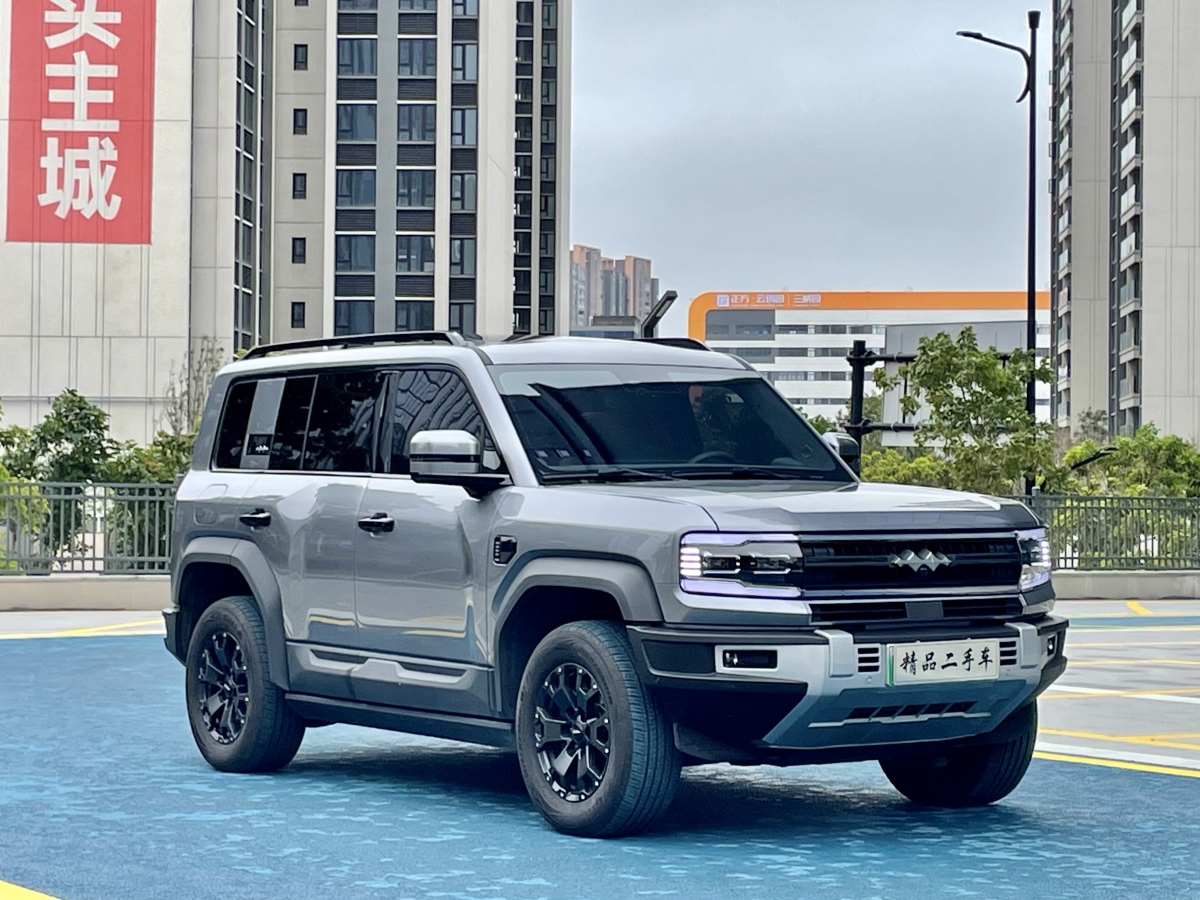 FangChengBao Leopard 5 2024 immagine di auto #3